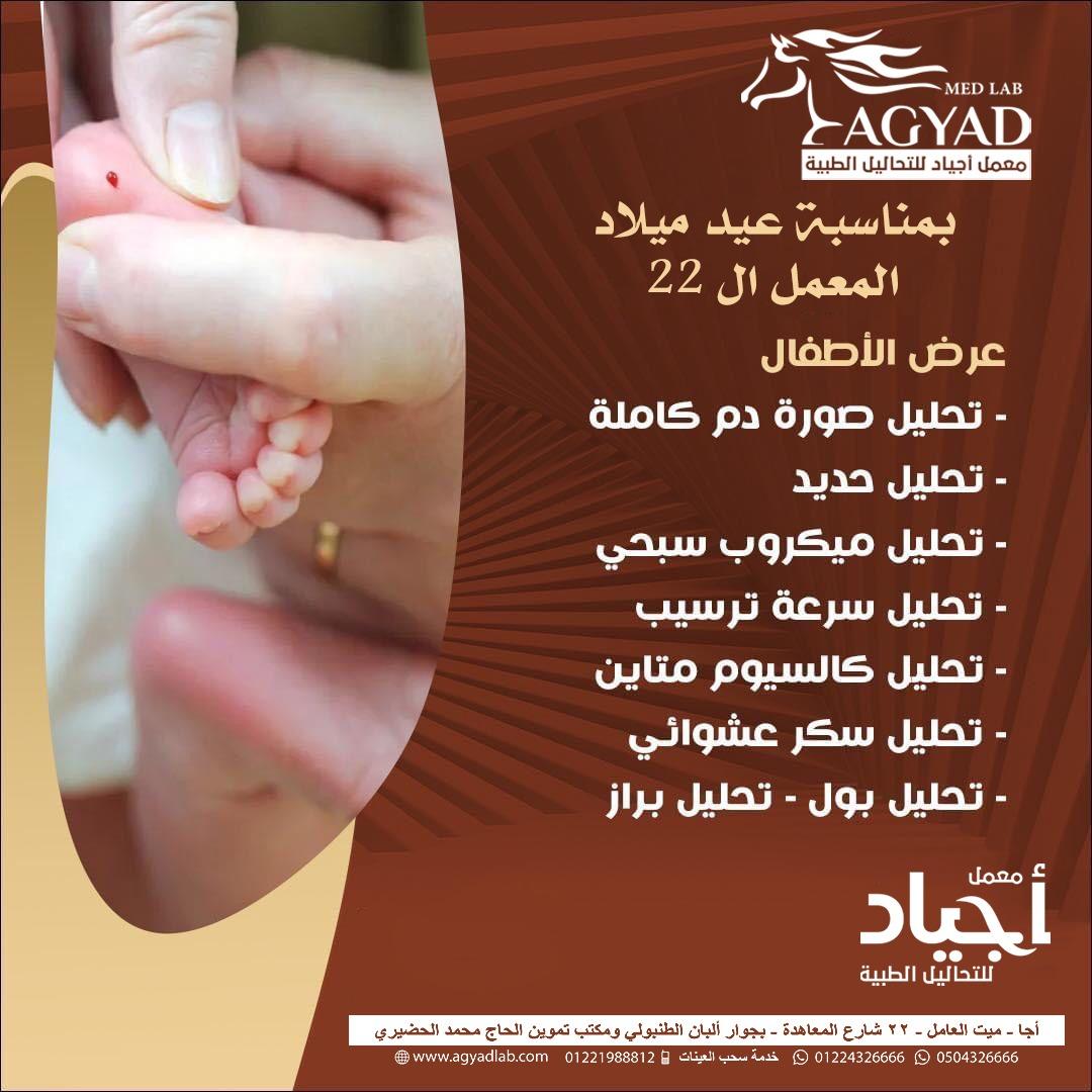 صورة الباقة